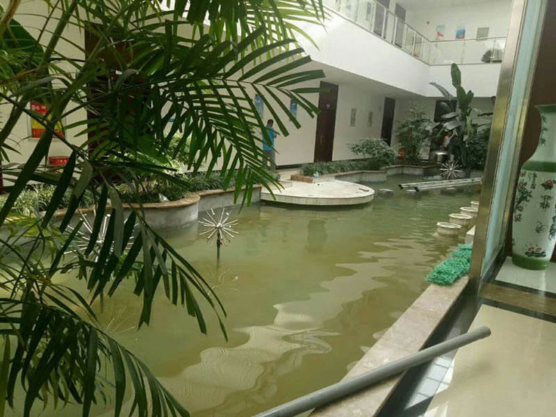 煙臺魚池水處理水凈化水循環設備