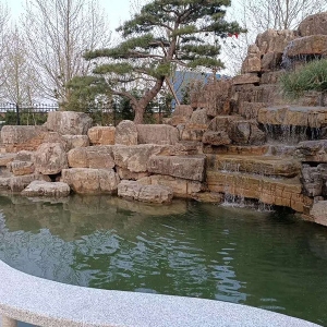 高 檔小區大型魚池凈化系統