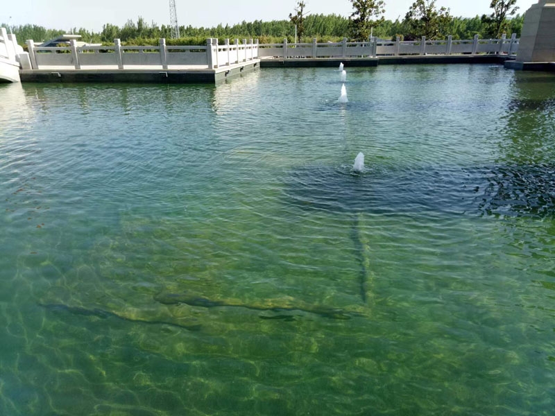 濟寧藝水芳源魚池過濾器客戶實地效果展示