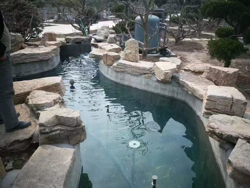 魚(yú)池過(guò)濾器客戶實(shí)地效果展示